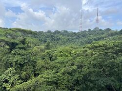Meralodge (D23), Condominium #566573381